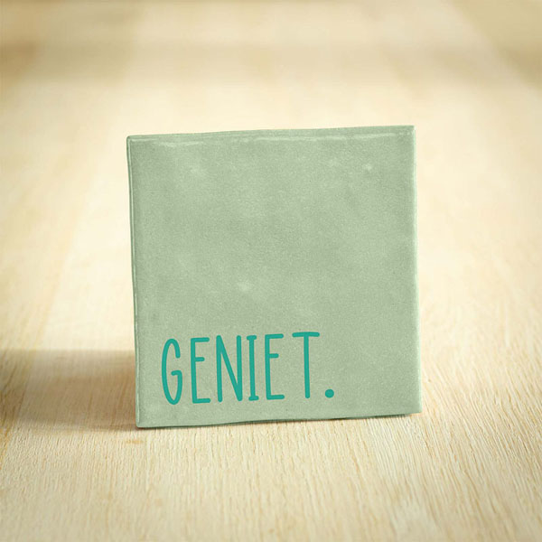 Tegeltje geniet lichtgroen